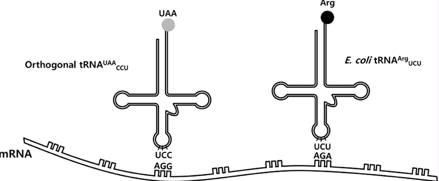 AGG_ACS%20Chemical%20Biology_2014